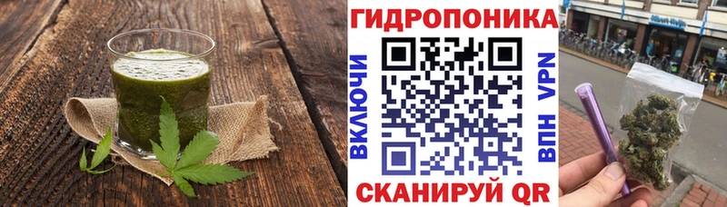 Cannafood конопля  Киренск 
